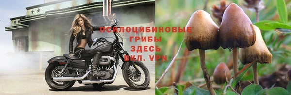 МДМА Бородино