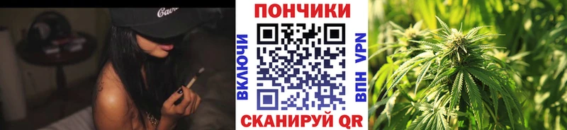 Канабис Amnesia  где купить   Катайск 